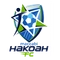 Hakoah Sydney City logo