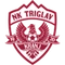 Triglav logo