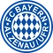Bayern Alzenau logo